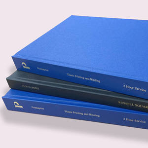 Thesis