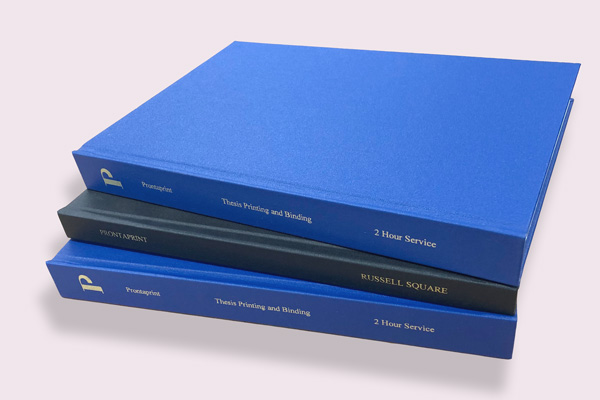 Thesis